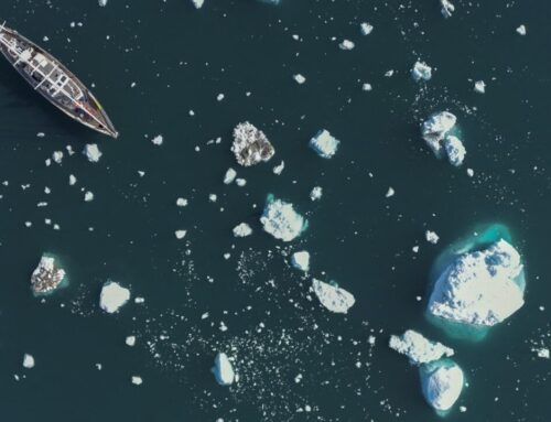 As Arctic ice vanishes, maritime traffic boom fuels the climate crisis