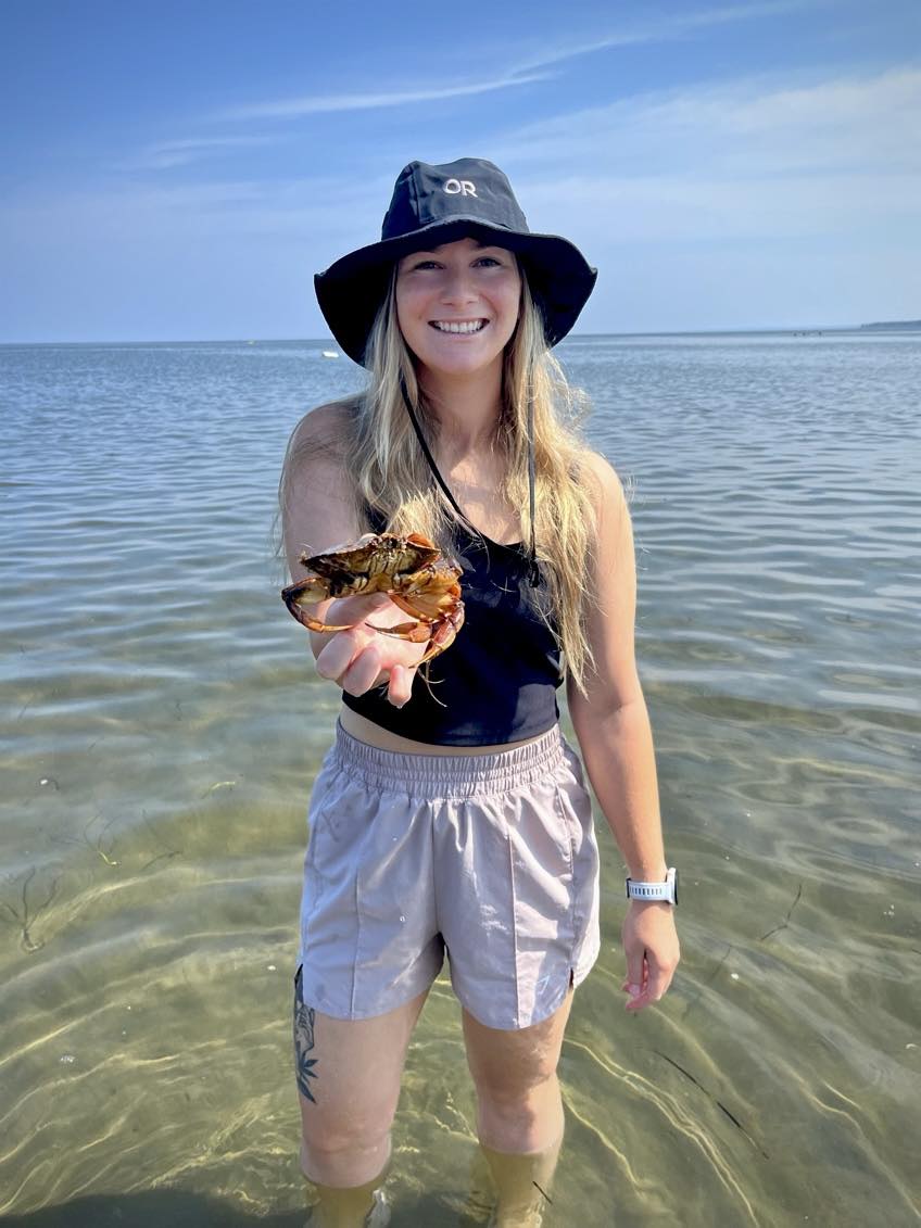 Crab
