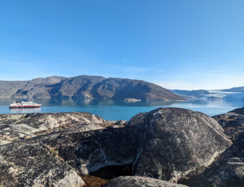 Cruising for clues: researchers say they’ve found evidence of 1st invasive barnacle in Nunavut