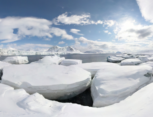Beyond Arctic PASSION: Jackie Dawson helps connect data, AI and Indigenous Knowledge